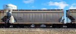 TCMX 313584